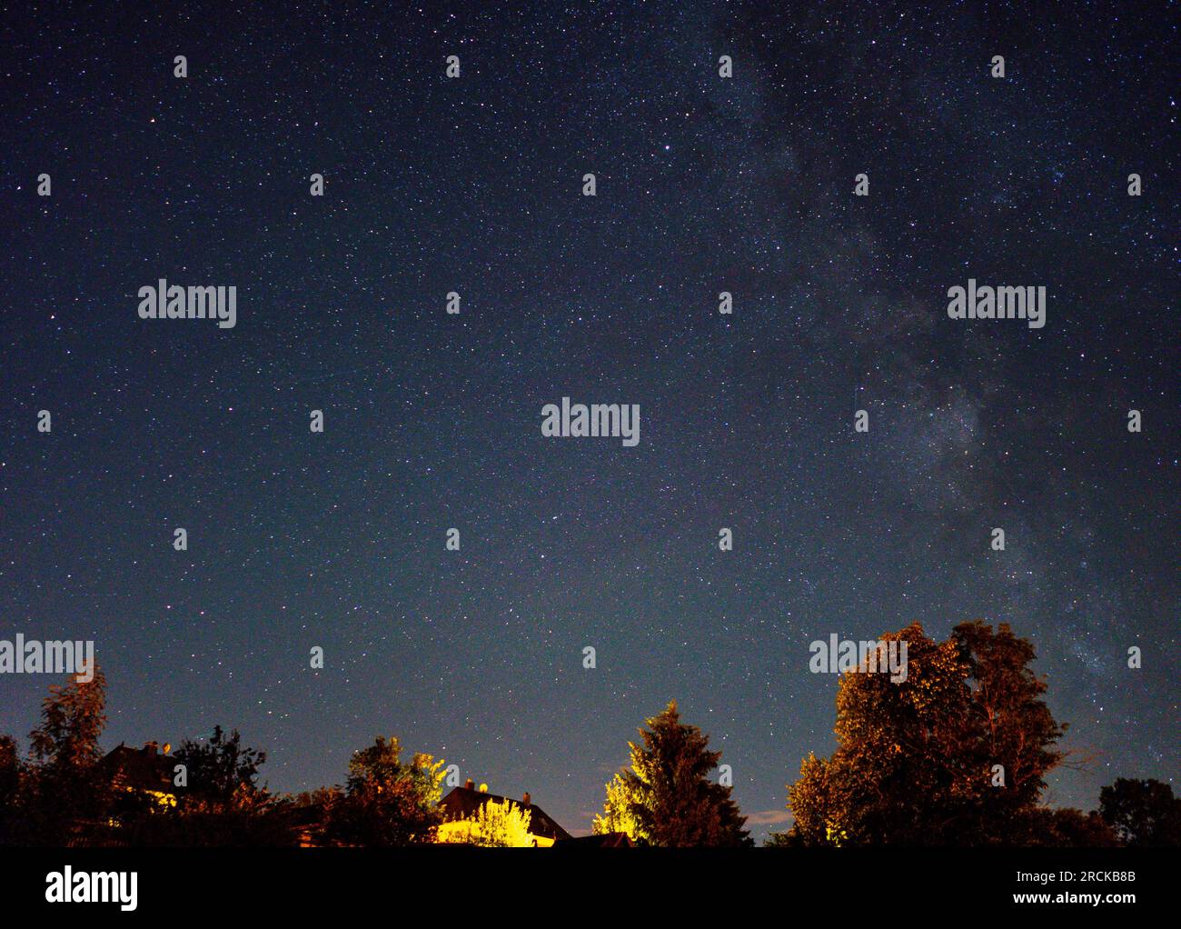 cielo notturno con stelle e alberi Foto Stock