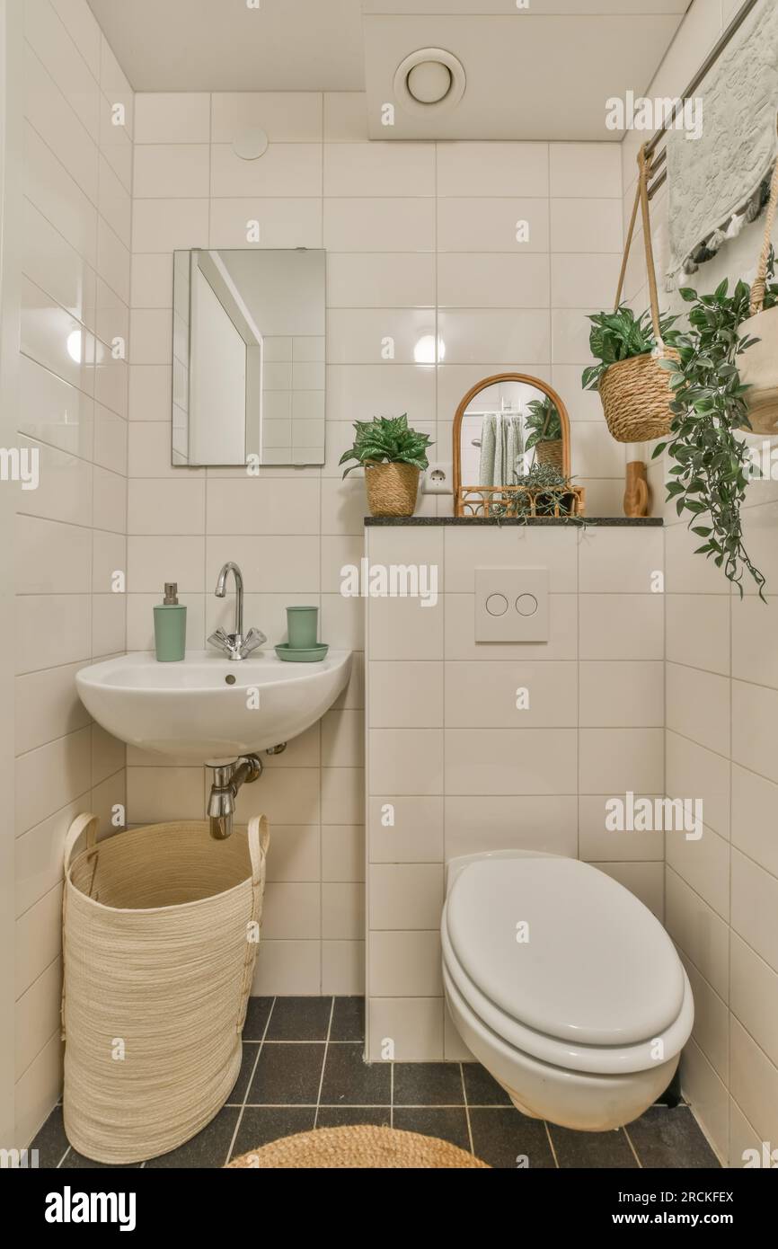un piccolo bagno con lavandino, wc e piante in cestini sulla parete accanto  al lavandino c'è uno specchio Foto stock - Alamy