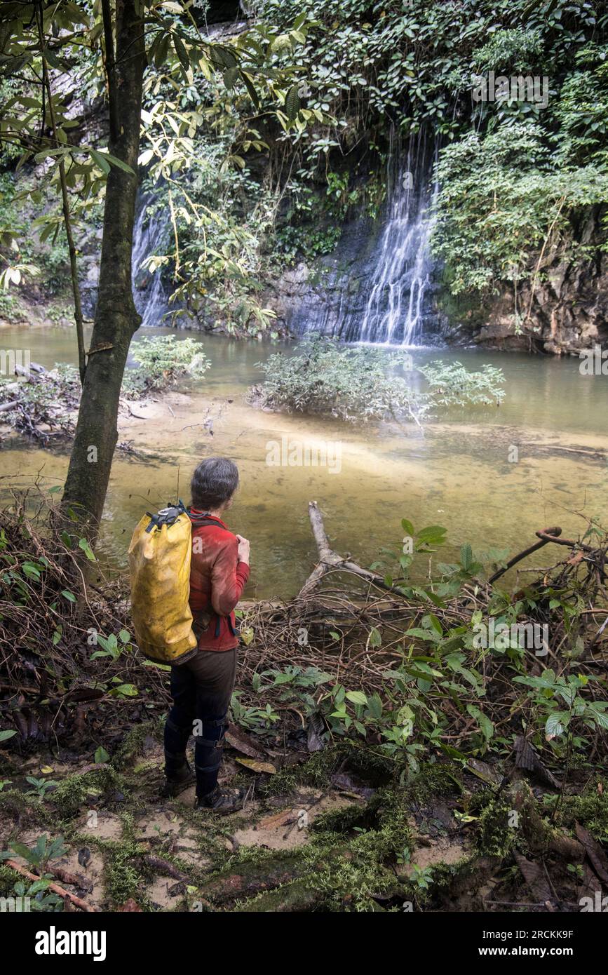 Persona che guarda la cascata sul fiume Paku, la foresta pluviale, Mulu, Malesia Foto Stock