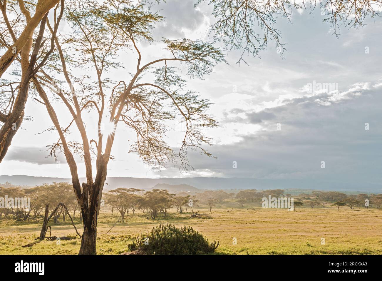 Mundui House, Lake Oloiden, Naivasha - Fotografia di Treats Antony Trivet dell'Africa Orientale Foto Stock