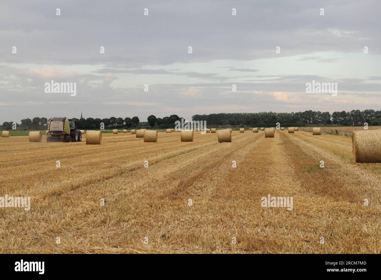 un paesaggio rurale con balle di paglia rotonde e un trattore con imballatrice in campagna in estate Foto Stock