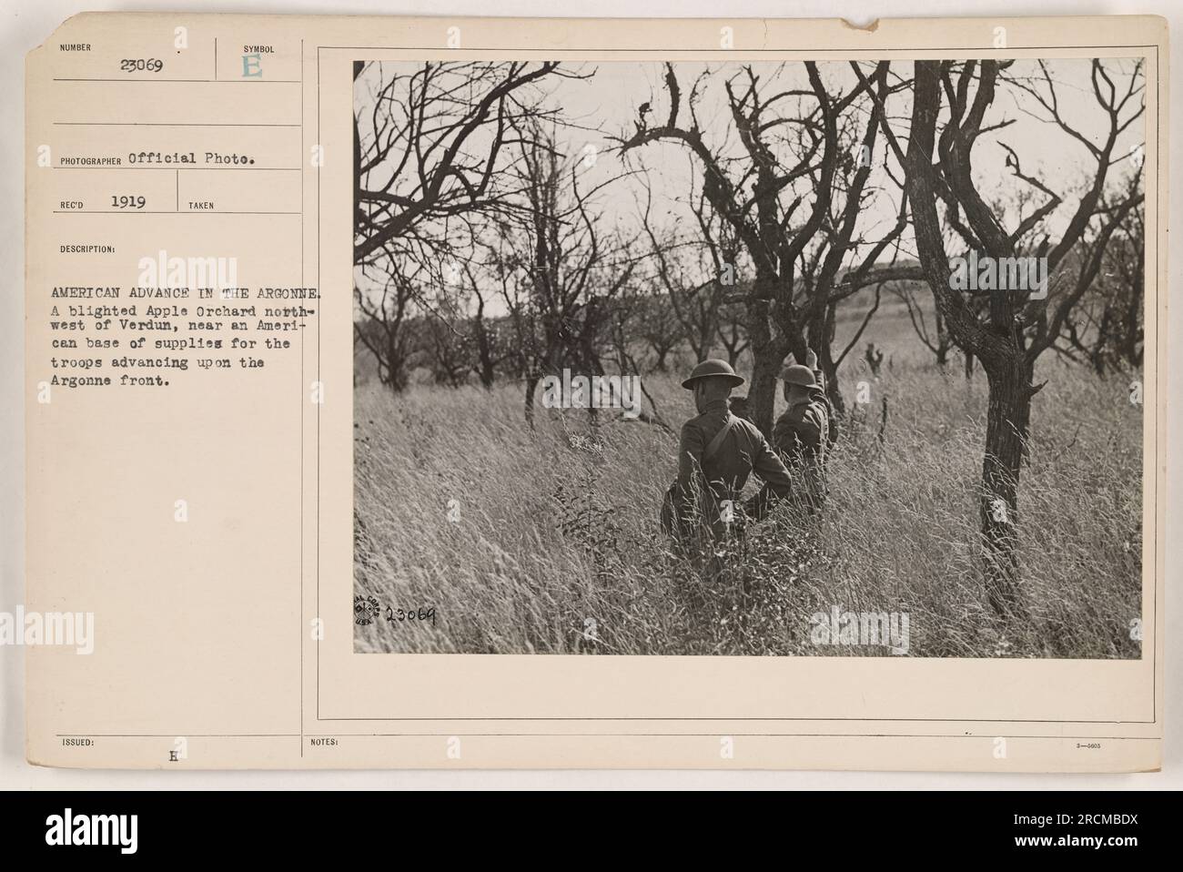 I soldati americani avanzano attraverso un frutteto di mele distrutto, a nord-ovest di Verdun, durante l'offensiva di Argonne. Il frutteto servì come base di rifornimenti per le truppe. Questa foto ufficiale è stata scattata durante la prima guerra mondiale. Foto Stock