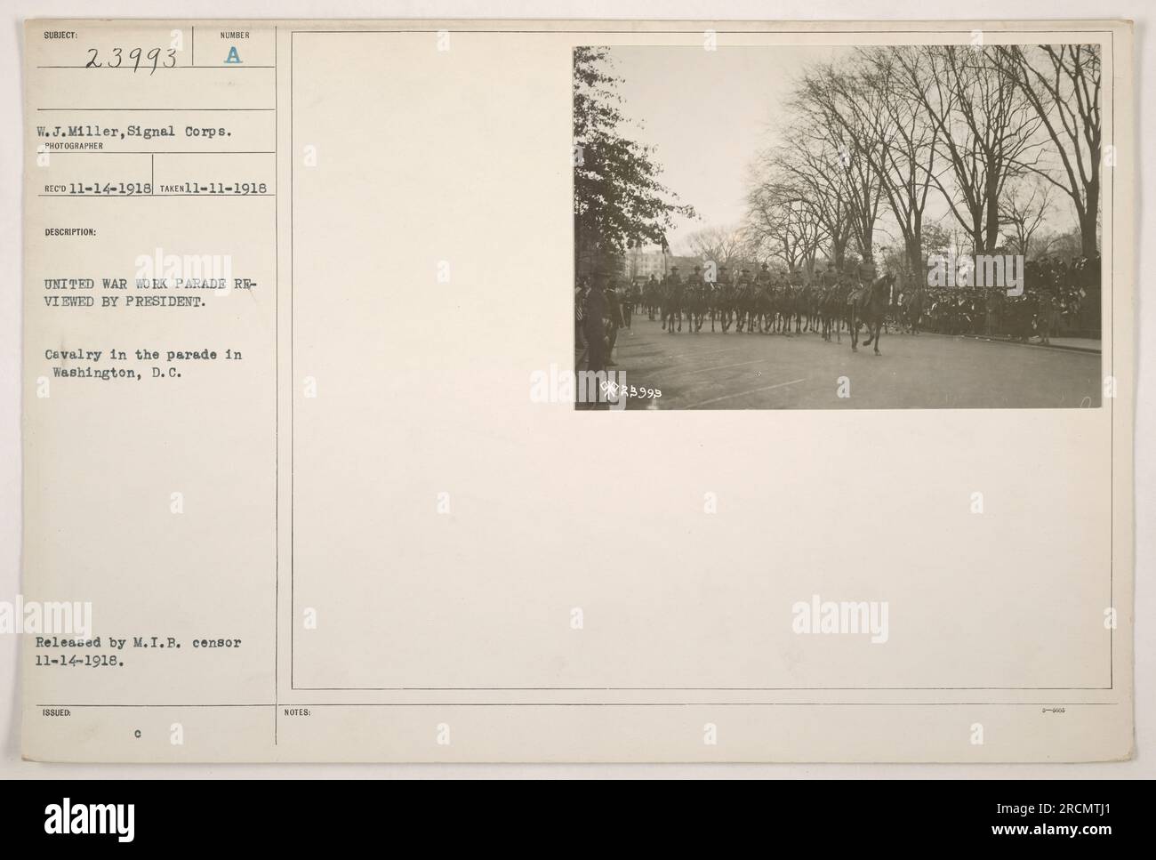 Unità di cavalleria che partecipa alla parata di lavoro della Guerra degli Stati Uniti a Washington, D.C., recensita dal presidente. La foto è stata scattata l'11 novembre 1918 e pubblicata dal censore M.I.B. il 14 novembre 1918. Riferimento didascalia: 111-SC-23993. Foto Stock