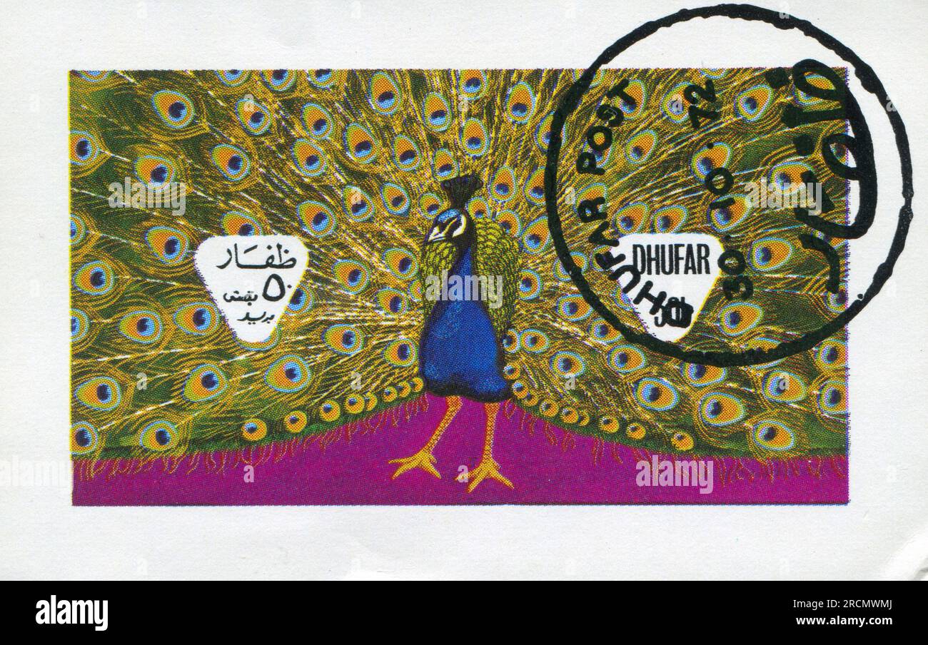 DHUFAR - CIRCA 1972: Timbro stampato da Dhufar, mostra pavone, circa 1972 Foto Stock