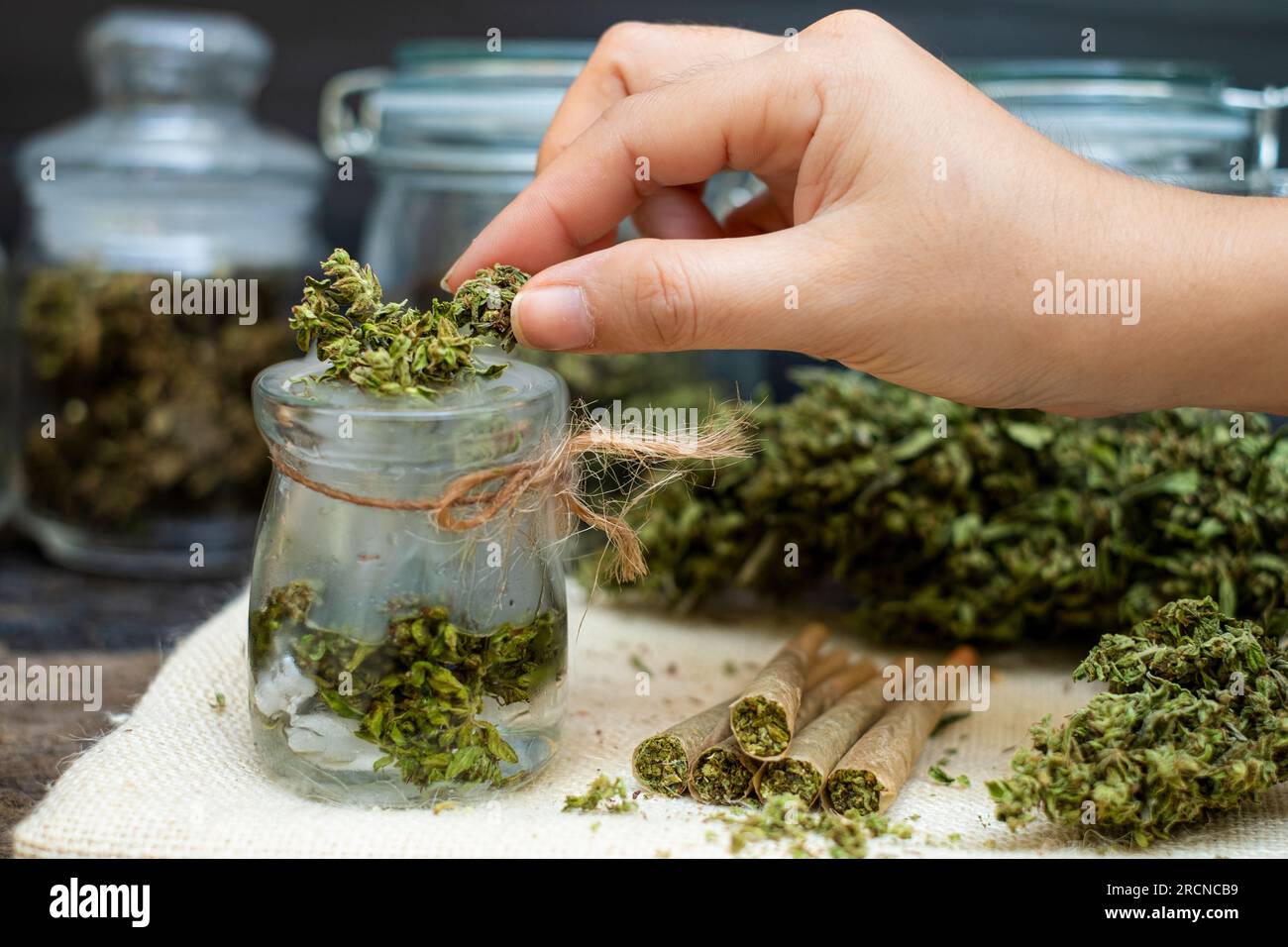 Una donna che tiene fiori di marijuana in una bottiglia di vetro trasparente Foto Stock