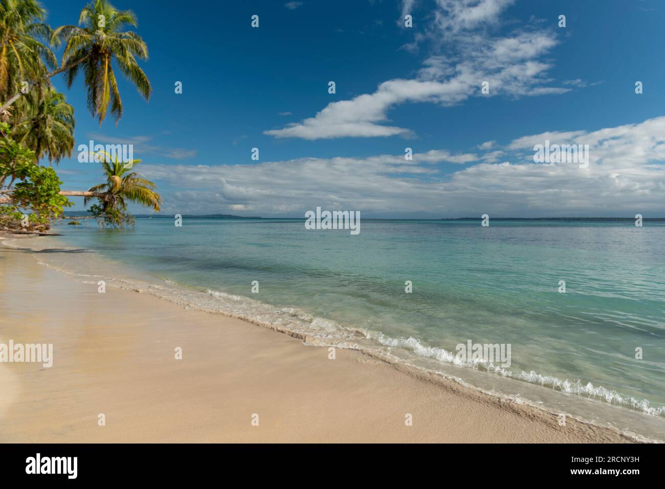 Piccola spiaggia dell'isola nei Caraibi, Zapatilla Key, Bocas del Toro, panama, America centrale - foto stock Foto Stock