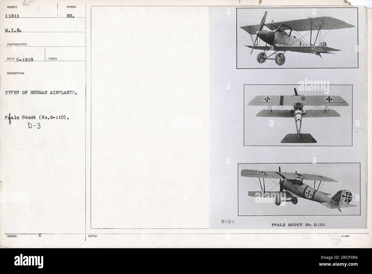 Tedesco Pfalz Scout (No.G-110) D-3. Questa fotografia, scattata nel giugno 1918, mostra i vari tipi di aerei tedeschi utilizzati durante la prima guerra mondiale Il Pfalz Scout viene mostrato in dettaglio, evidenziandone le caratteristiche e i contrassegni distinti. L'immagine fa parte delle fotografie della collezione di attività militari americane. Foto Stock