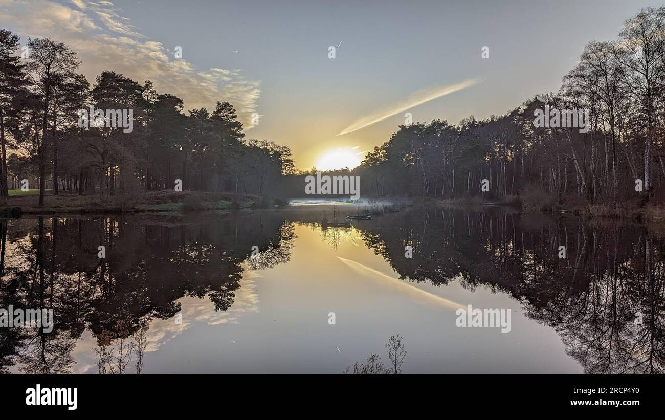 Riserva naturale Frensham Common ANOB Low Land Heath National Trust, laghetto per la pesca stockbridge Hankley Common Foto Stock