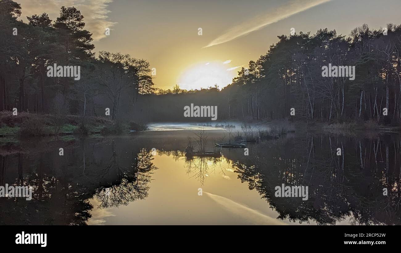 Riserva naturale Frensham Common ANOB Low Land Heath National Trust, laghetto per la pesca stockbridge Hankley Common Foto Stock