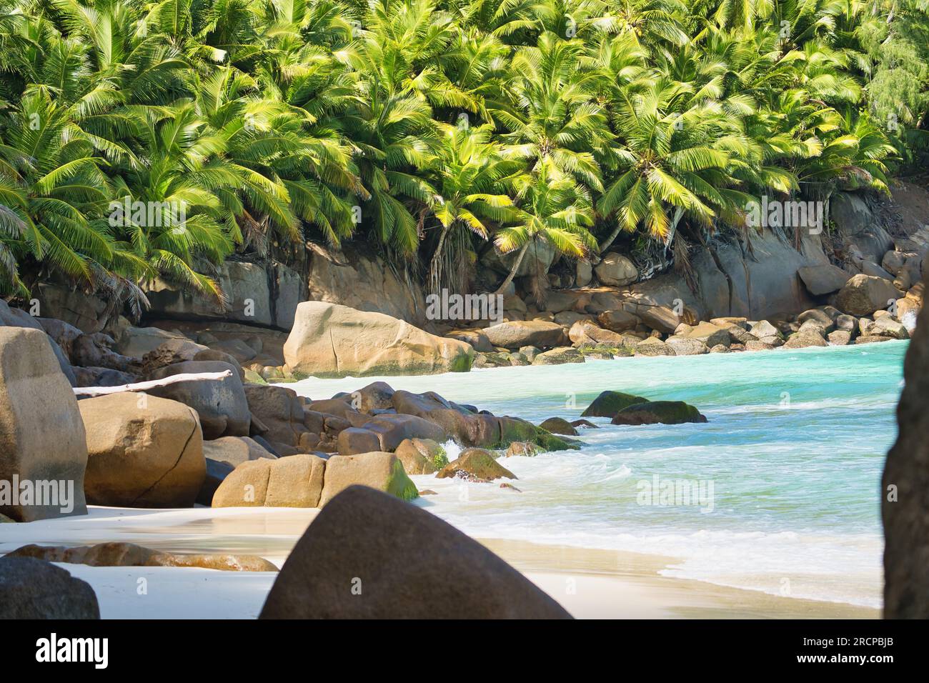 Splendida spiaggia estiva, massi di roccia spiagge di sabbia bianca su intendance, paradiso, Mahe Seychelles Foto Stock