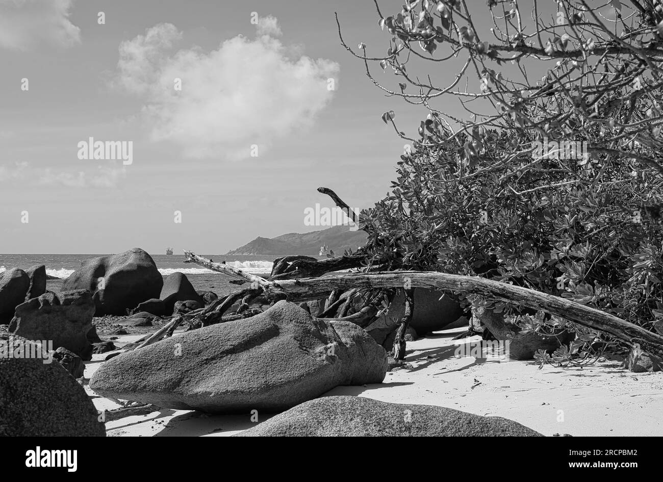 Nero e bianco di massi di roccia e ramo marcio vicino alla spiaggia, Mahe Seychelles Foto Stock