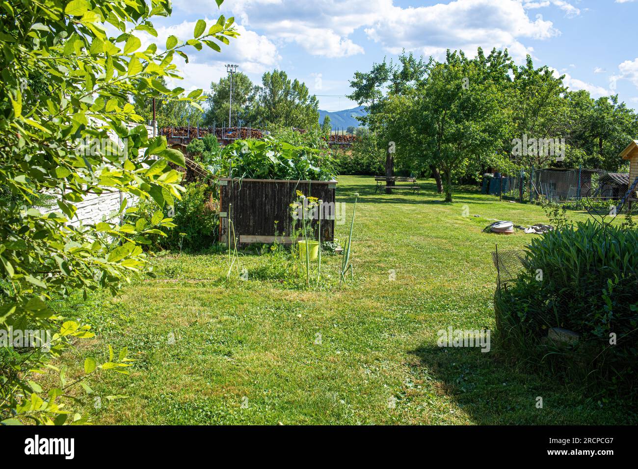 Vista sul giardino nelle giornate di sole d'estate. Foto di alta qualità Foto Stock