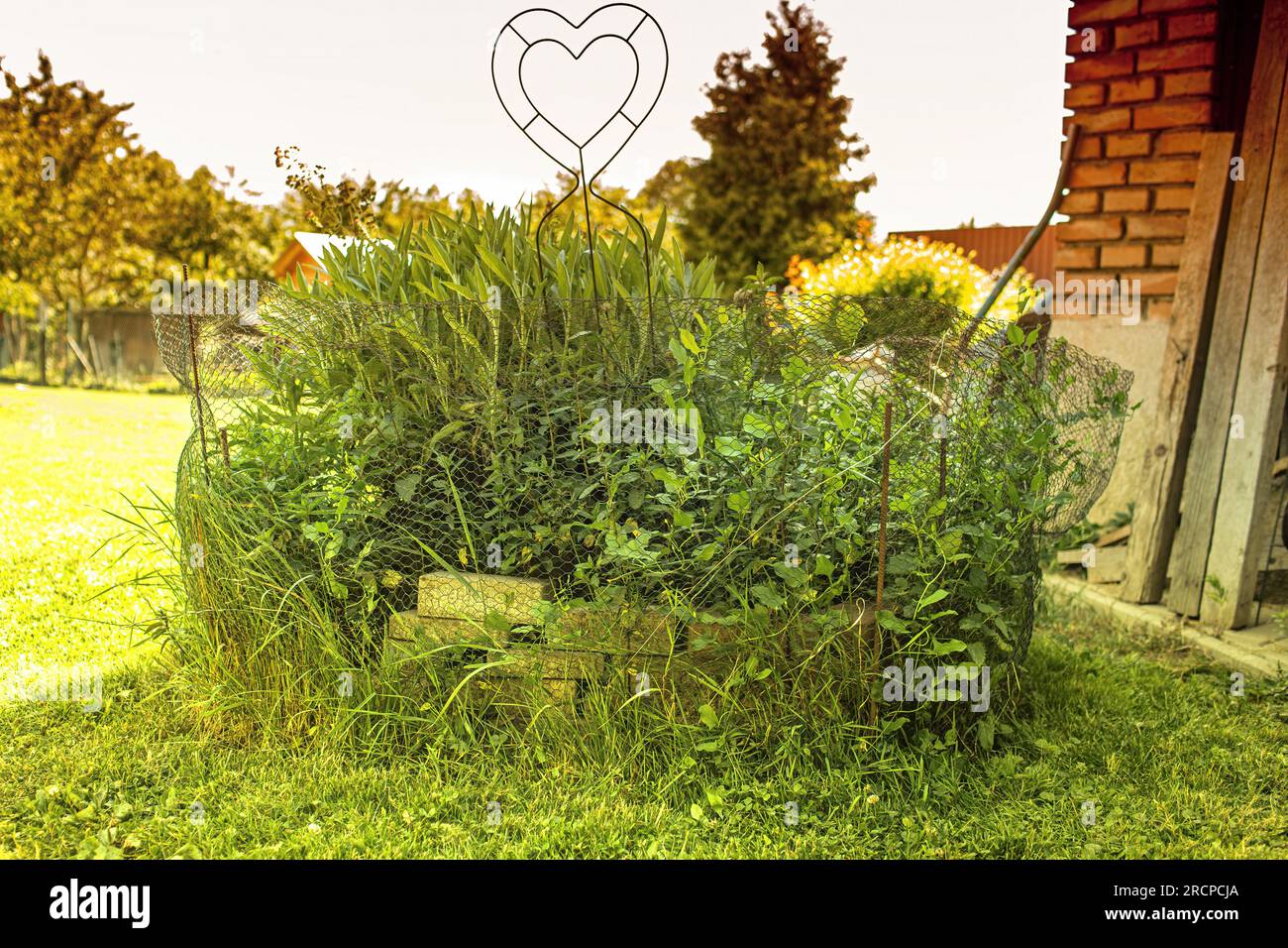 Vista sul giardino nelle giornate di sole d'estate. Foto di alta qualità Foto Stock