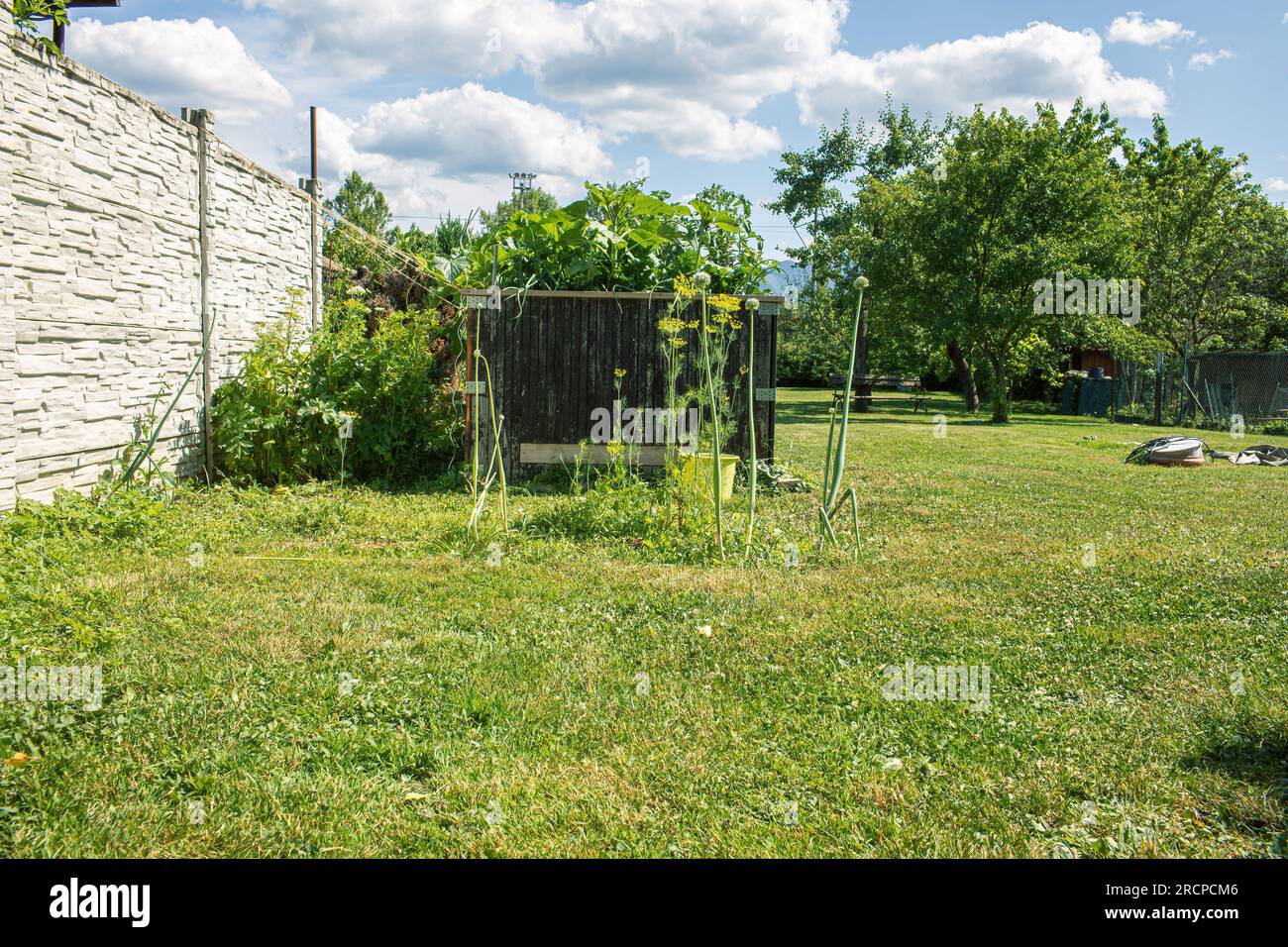 Vista sul giardino nelle giornate di sole d'estate. Foto di alta qualità Foto Stock