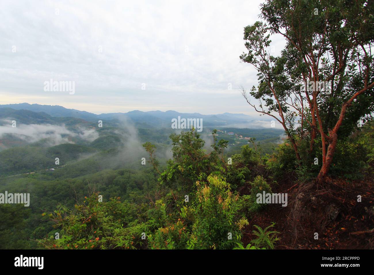 Paesaggio di nebbia al mattino al Jaroh Ka Nga a Betong, Yala, Thailandia. Foto Stock