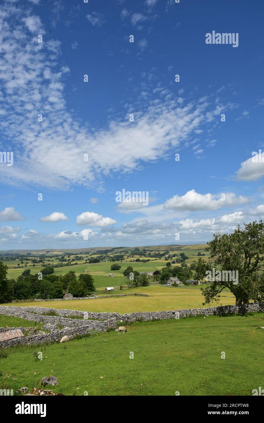 Stennerskeugh, paesaggi calcarei, EdenValey, Cumbria Foto Stock