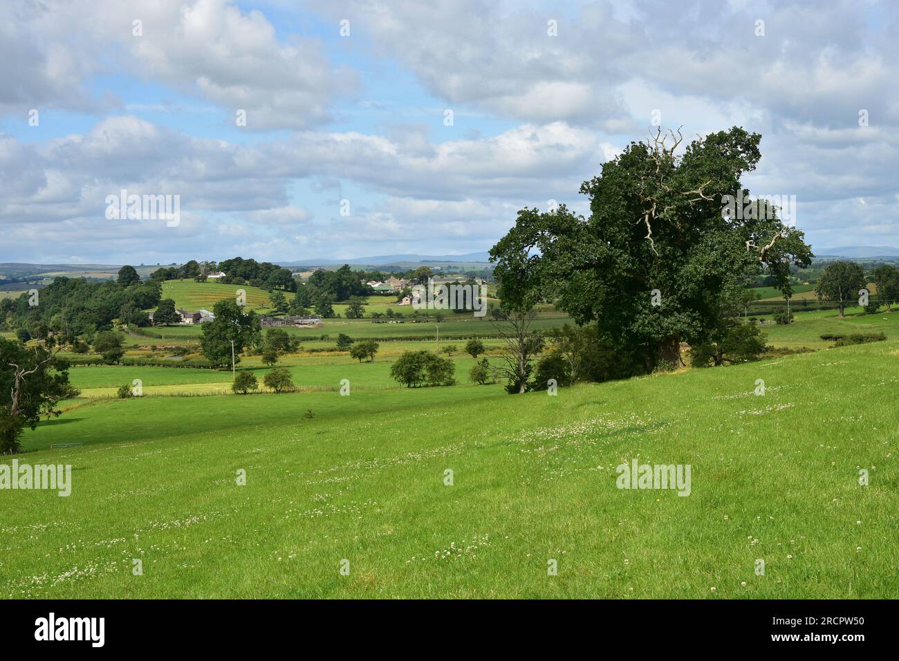 Great Musgrave, Eden Valley, Cumbria Foto Stock