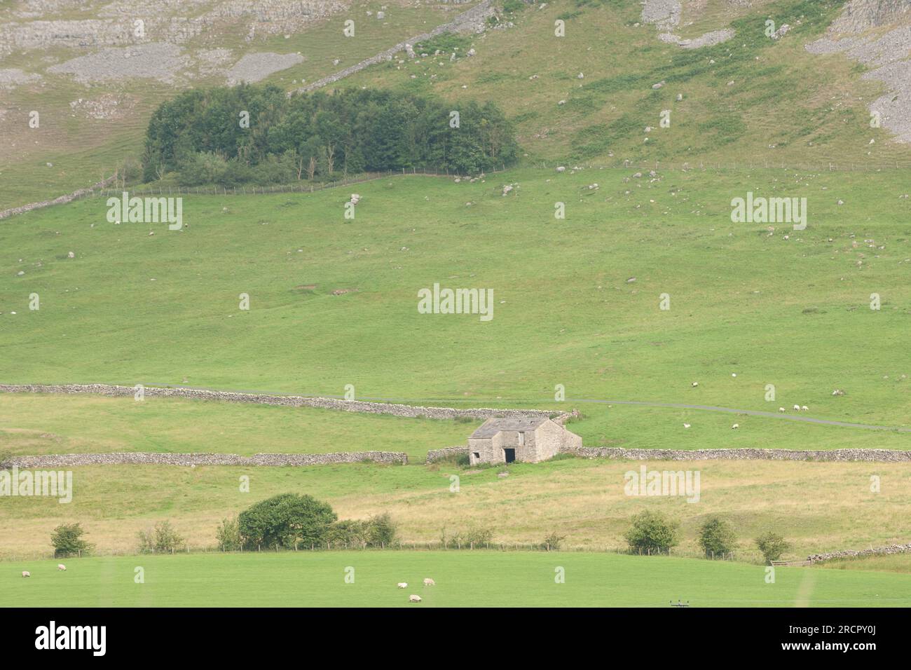 Twistleton Scar Ingleton Yorkshire Dales Foto Stock