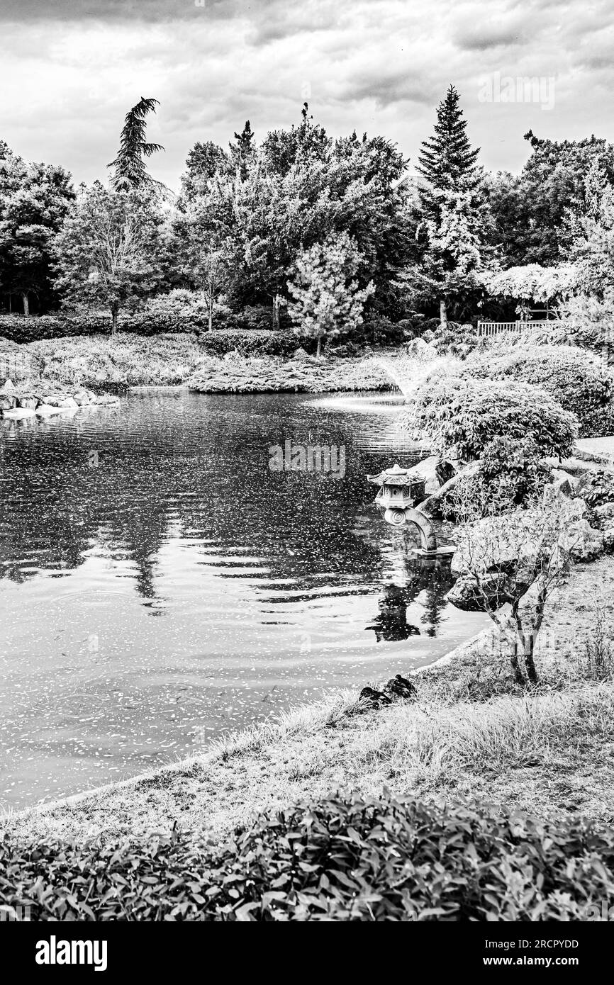 Le jardin japonais à Digione en début d'été. Il giardino giapponese a Digione all'inizio dell'estate. Foto Stock
