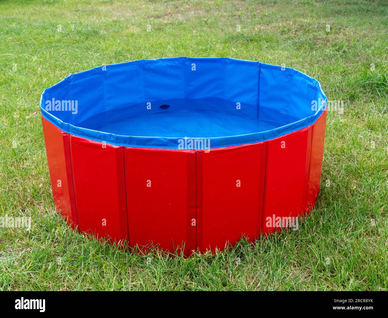 Piscina per cani su un prato verde. Piscina per cani da vicino. Foto Stock