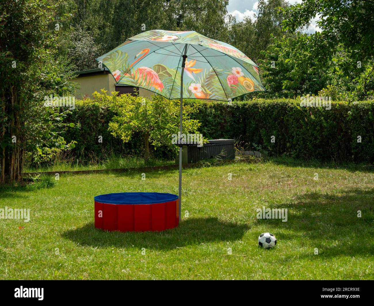 Piscina per cani su un prato verde. Piscina per cani da vicino. Foto Stock