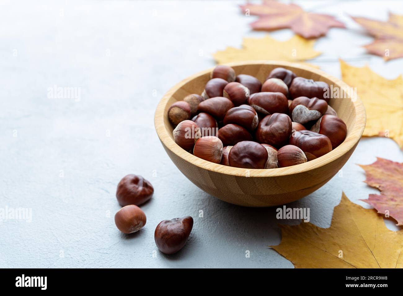 Nocciole e castagne in ciotola di legno su fondo grigio di cemento e foglie di acero giallo autunnale con spazio copia Foto Stock