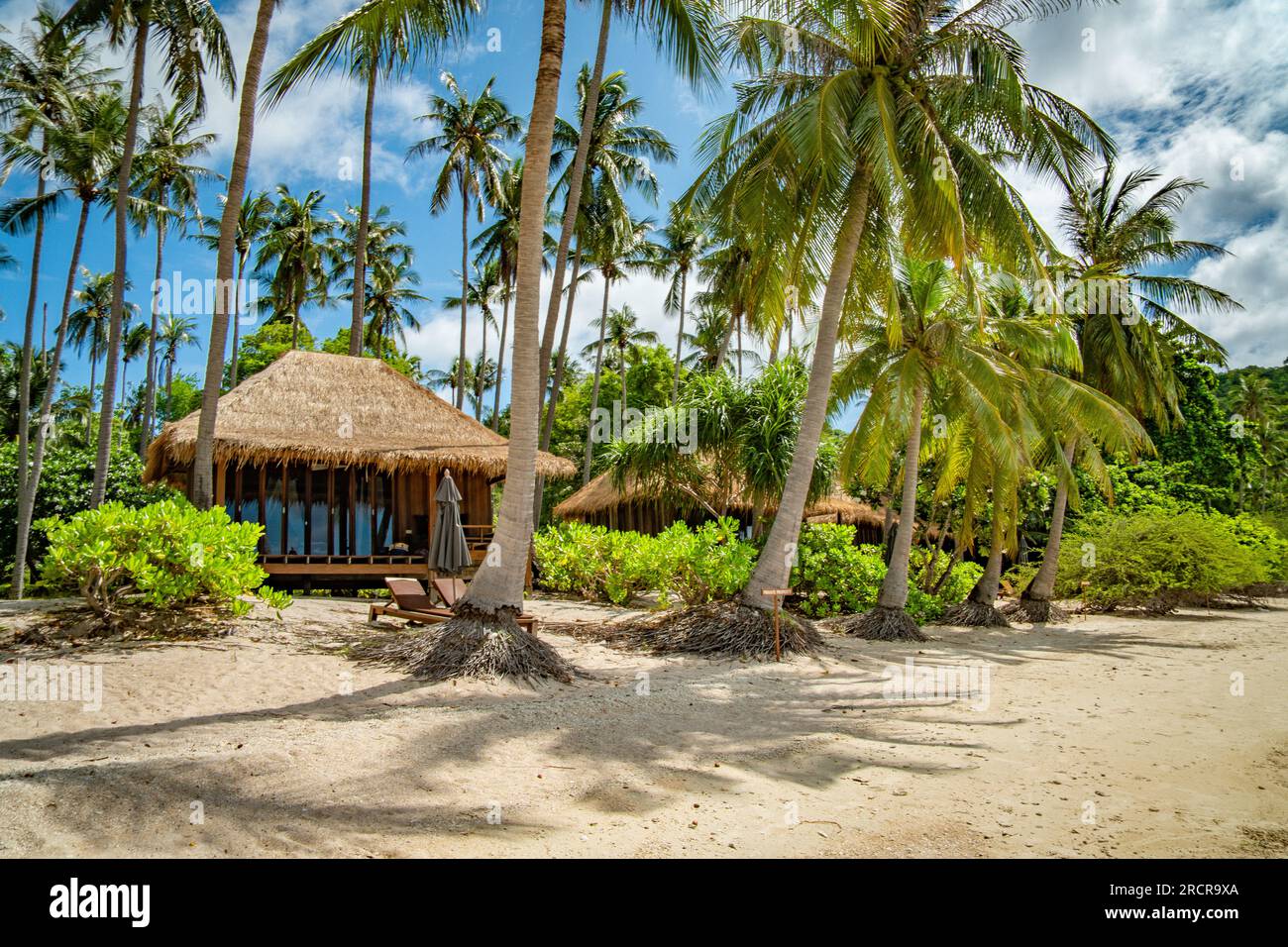 Vista del resort Haad Tien Beach nella baia degli squali, koh Tao, Thailandia Foto Stock