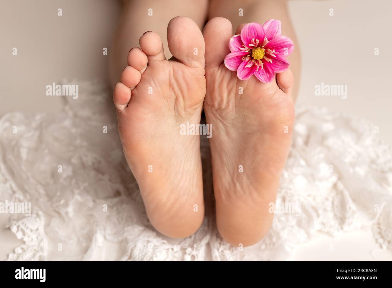 Primo piano di morbide suole femminili su un pizzo bianco, con un fiore rosa dahlia tra i piedi Foto Stock