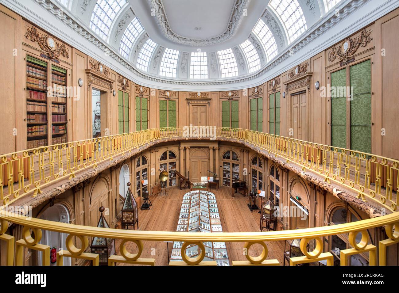 Sala ovale, Teylers Museum, Haarlem, Olanda settentrionale, Paesi Bassi, Foto Stock