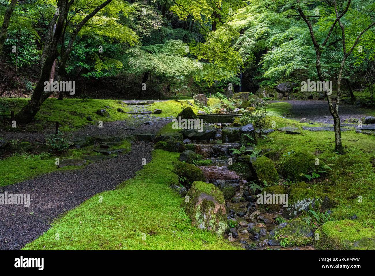Lo splendido tempio Daigo-ji e il suo giardino durante la stagione estiva. Kyoto, Giappone. Foto Stock