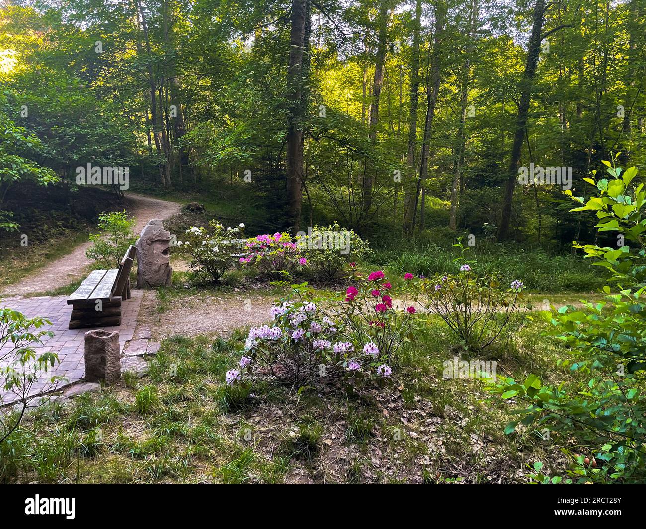 Öffentliches Kneipp Becken am Fuße des Hausberges Merkur nel Baden-Baden Foto Stock