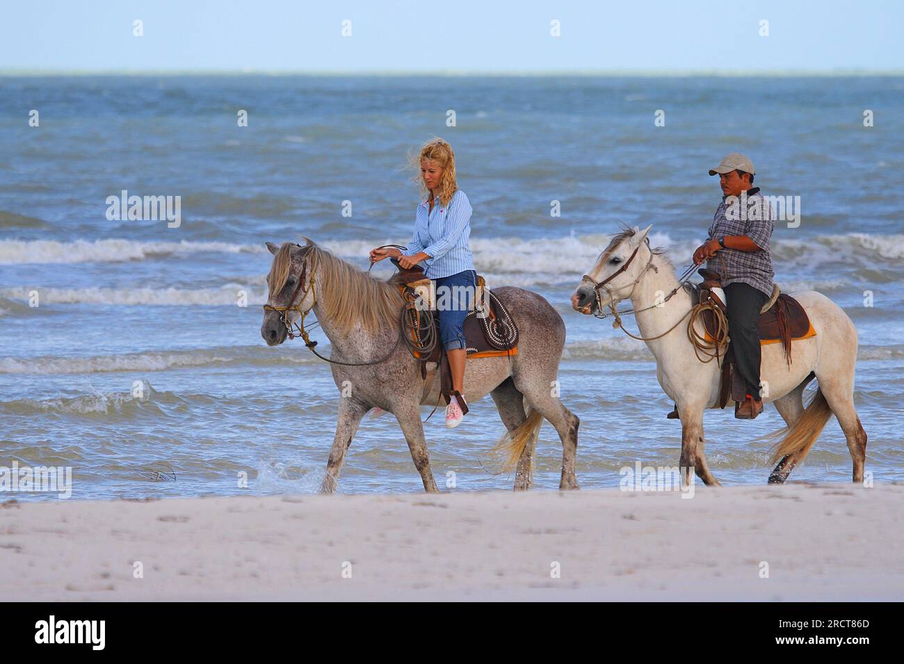 Holbox Island, Lázaro Cárdenas, Quintana, penisola di Yucatán, Messico, Foto Stock