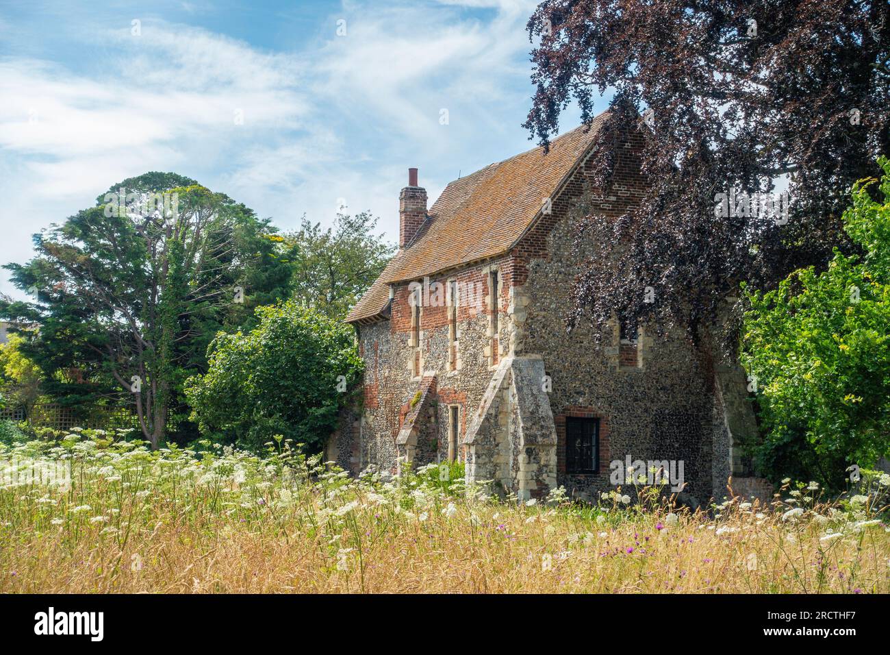 Greyfriars Chapel, Wildflower Meadow, Franciscan Gardens, Eastbridge Hospital, Canterbury, Kent Foto Stock