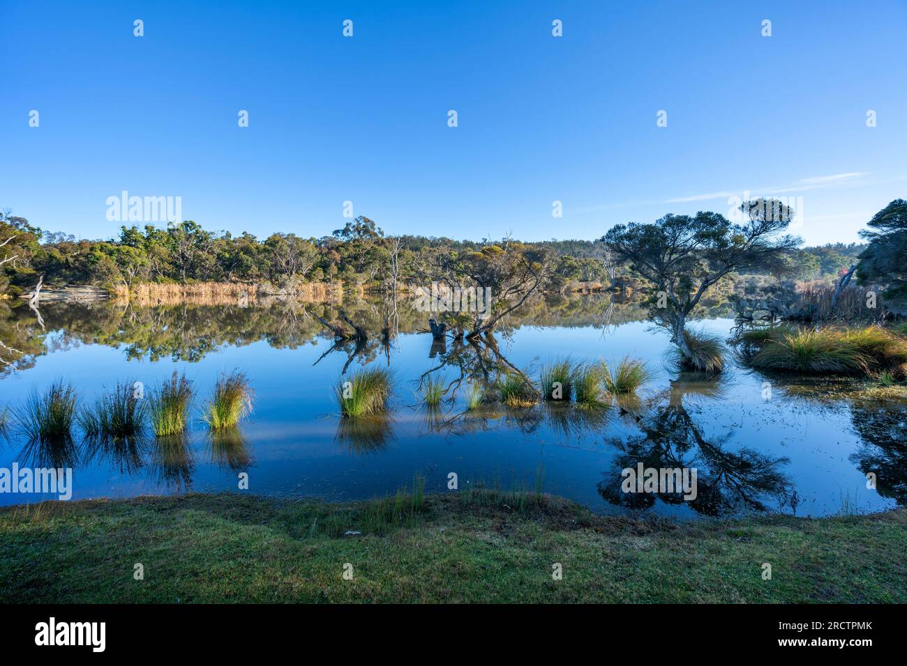 Tranquille riflessioni del mattino presto sul fiume Severn, Glen Aplin, NSW Australia Foto Stock