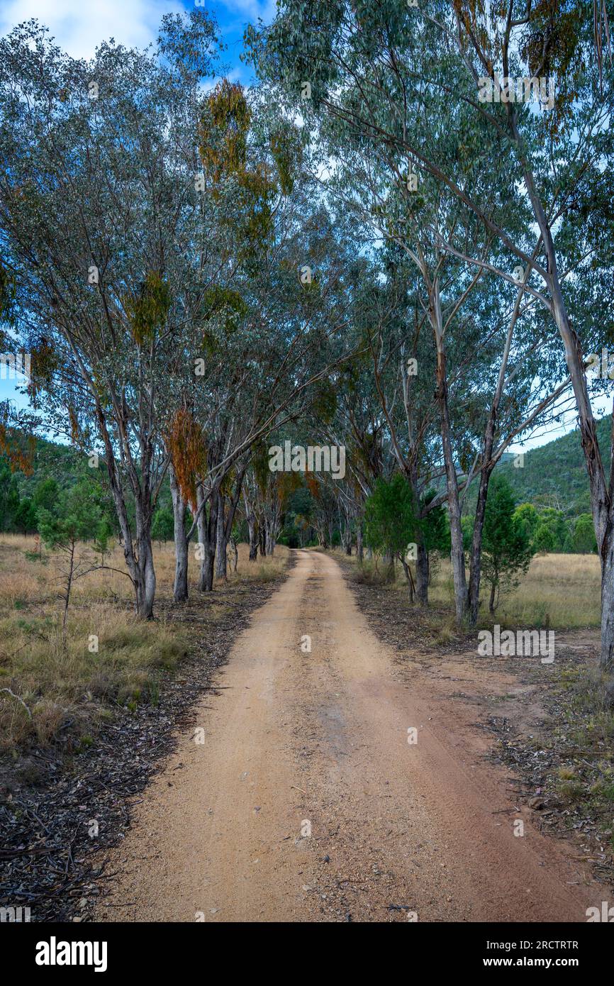 Strada di accesso sterrata al Broadwater Campground, al Sundown National Park, Queensland Australia Foto Stock