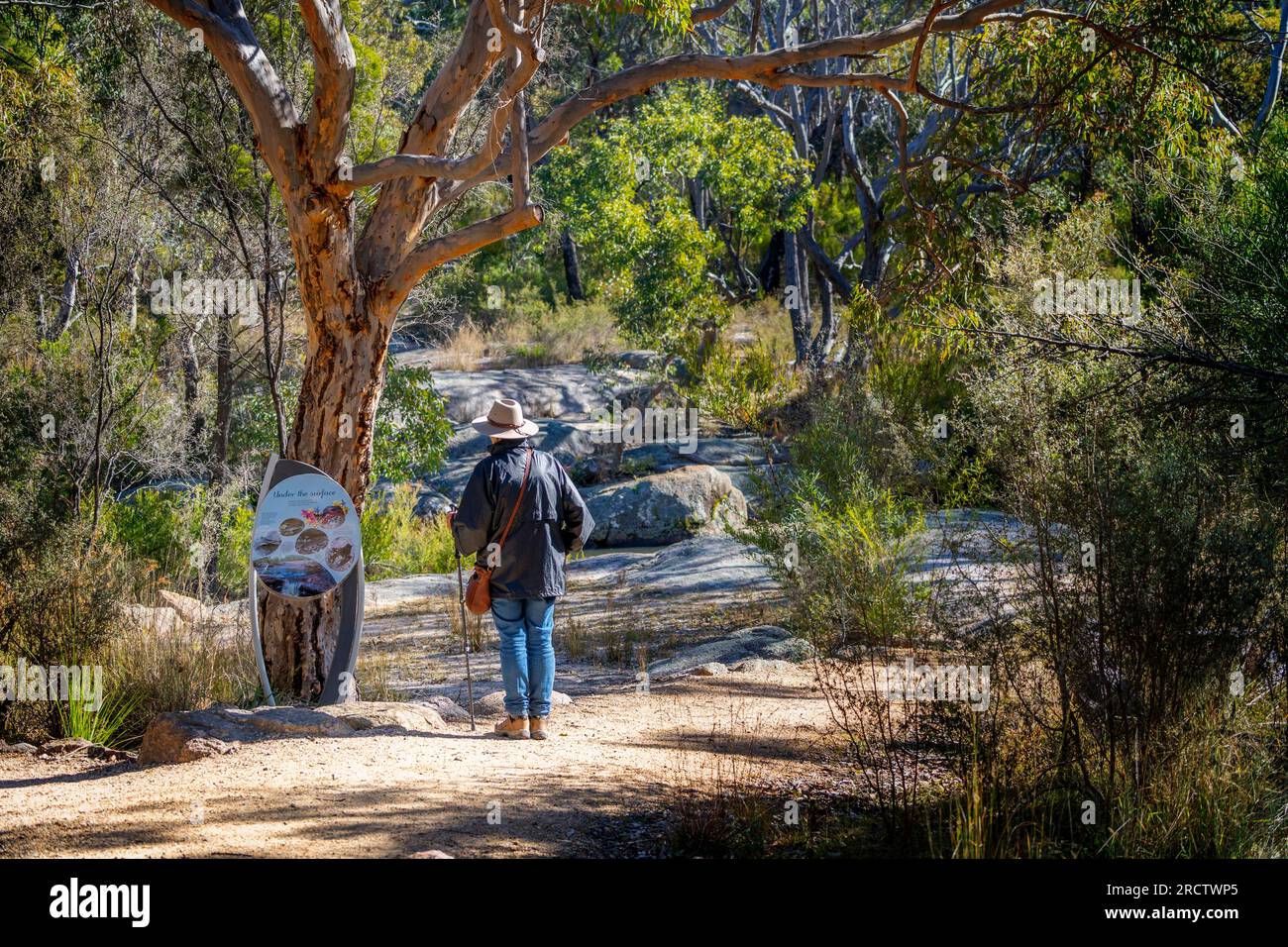 Una sola persona che guarda un cartello informativo all'inizio del percorso pedonale di Bald Rock Creek, Girraween National Park, Queensland sud-orientale, Australia Foto Stock