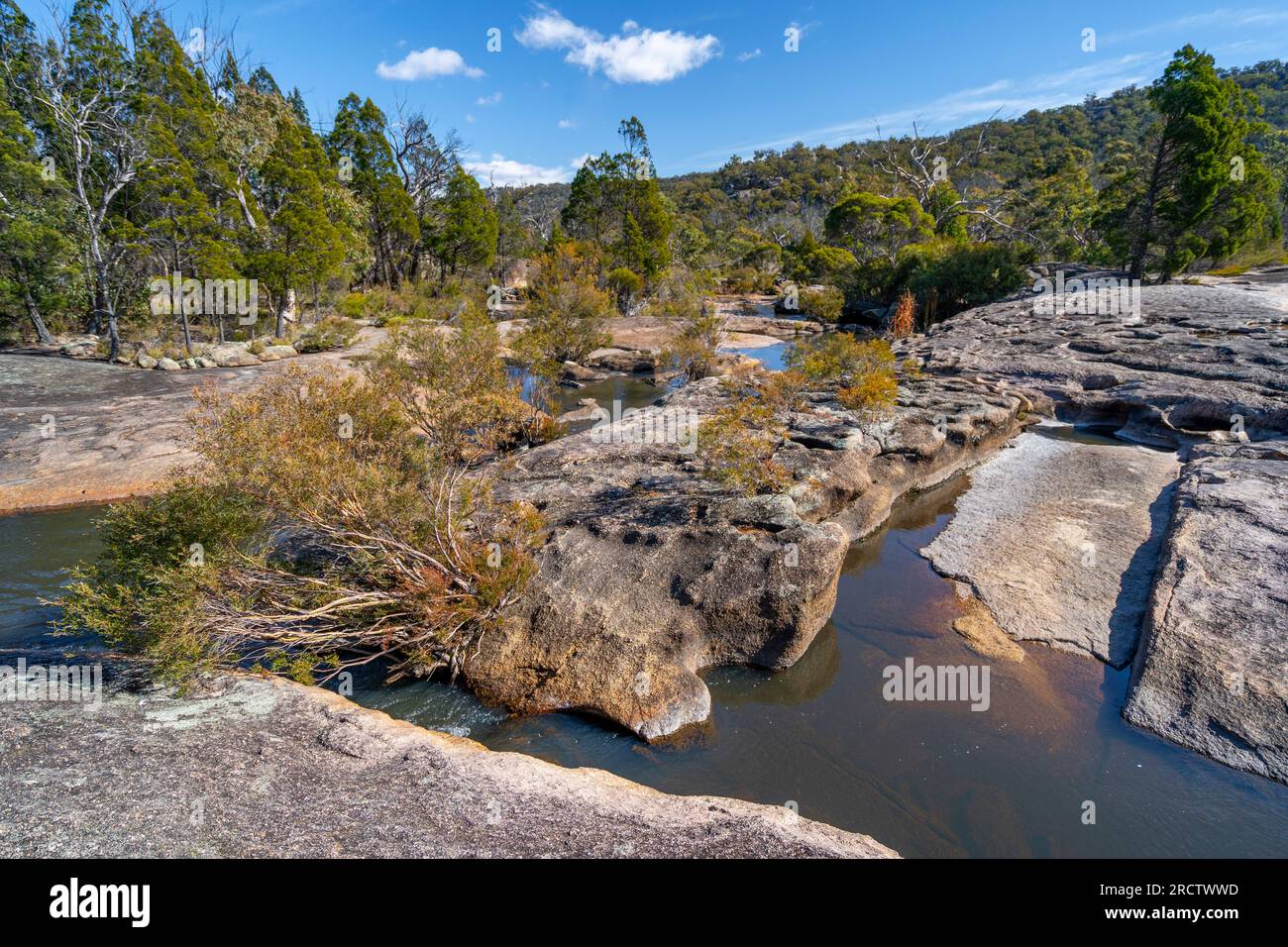 Cartelli informativi in mostra nell'area picnic, Girraween National Park, Queensland sud-orientale, Australia Foto Stock