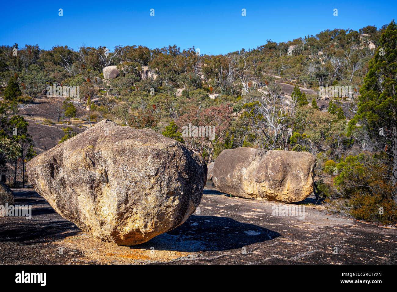 Massi su pendii di granito sopra Bald Rock Creek, The Junction, Girraween National Park, Queensland, Australia Foto Stock