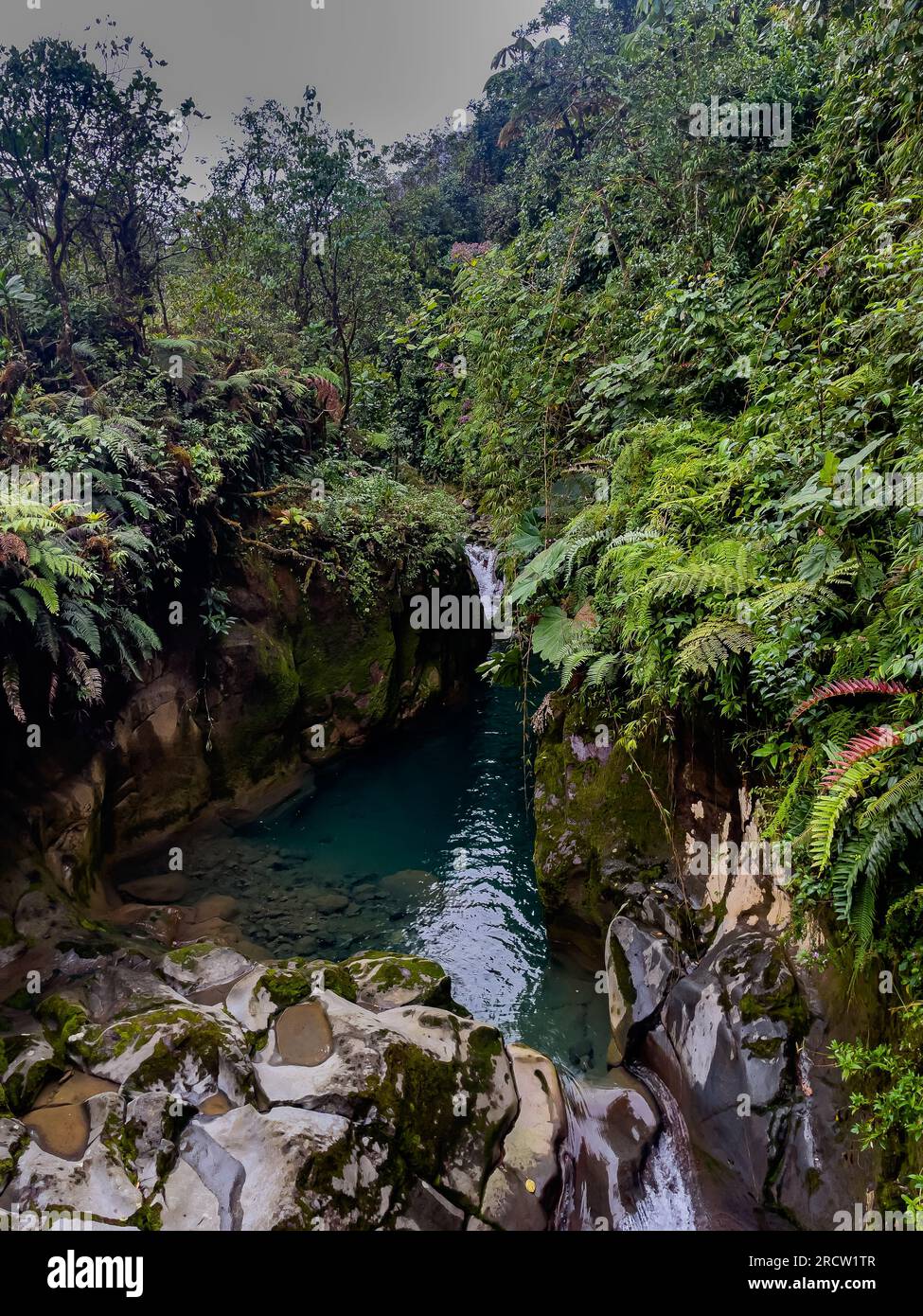 La splendida foresta pluviale del Costa Rica, le cascate e il fiume blu nel mezzo della giungla Foto Stock