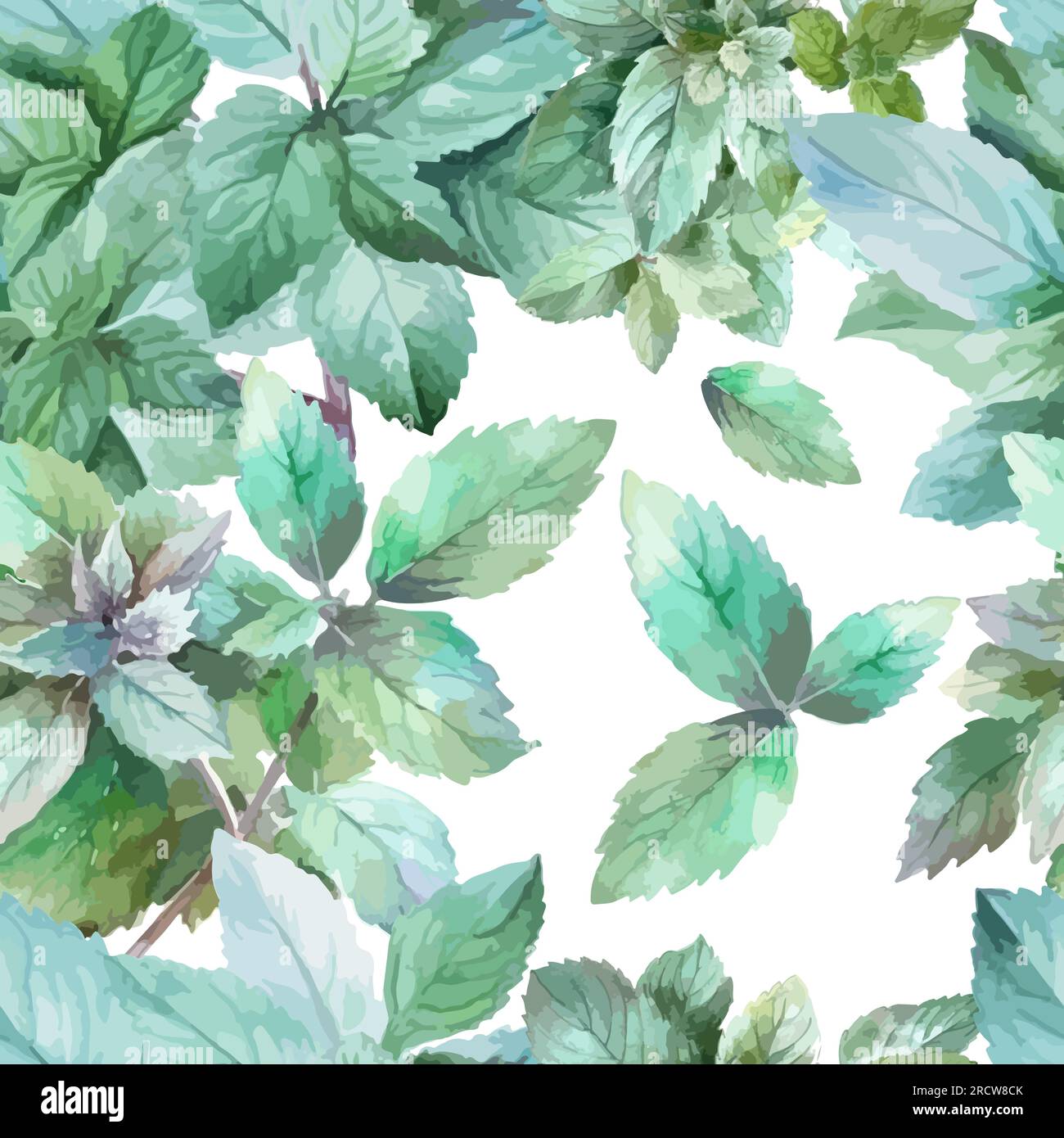 L'acquerello alla menta lascia un motivo senza cuciture. Illustrazione vettoriale Illustrazione Vettoriale