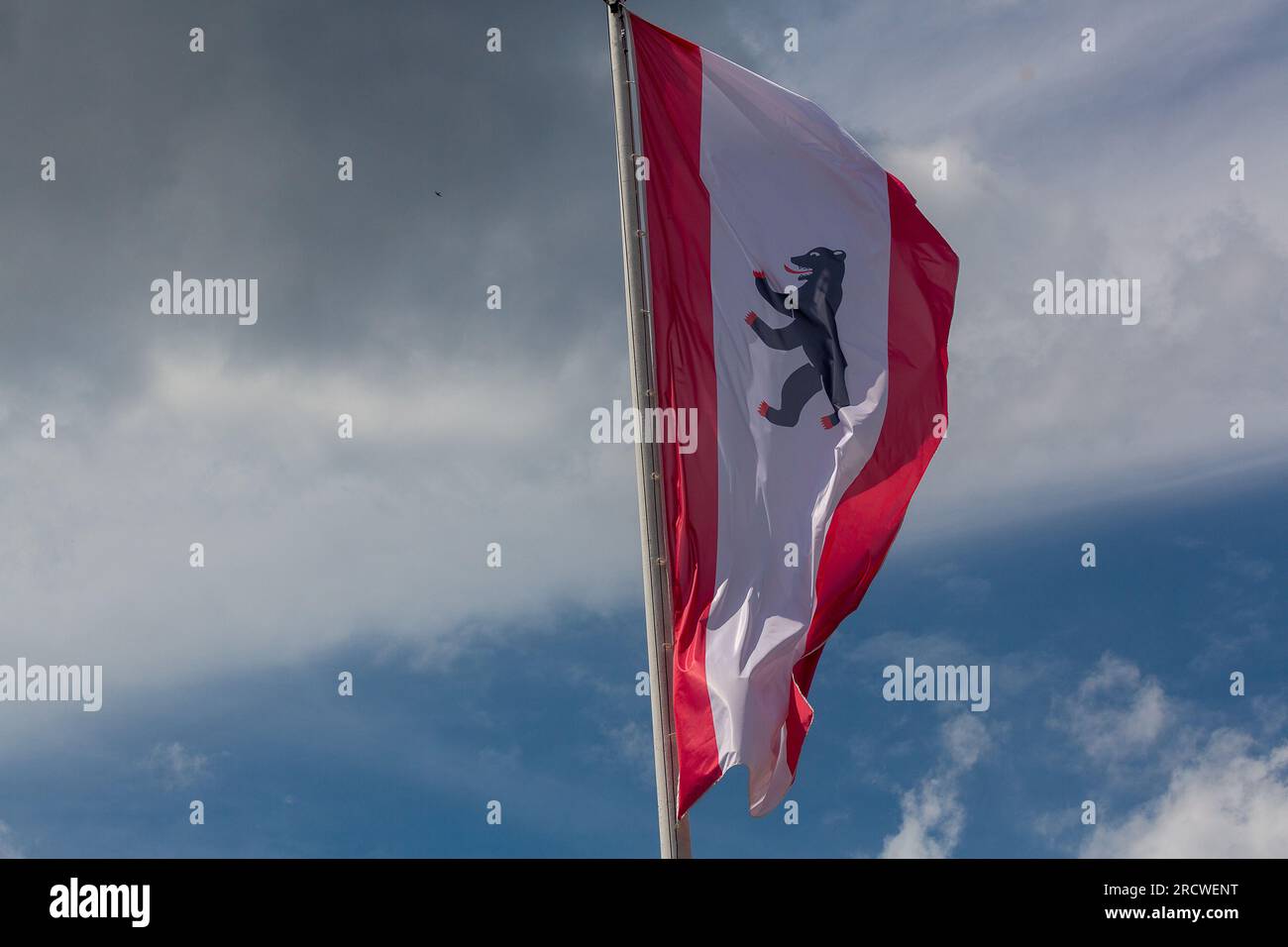 Berlino, Germania. 1 luglio 2023. La bandiera della capitale tedesca Berlino vola sopra un albero. La bandiera di Berlino ha un'ampia striscia bianca al centro e due strette strisce rosse ai lati e mostra l'orso di Berlino come uno stemma. Credito: Fernando Gutierrez-Juarez/dpa/Alamy Live News Foto Stock