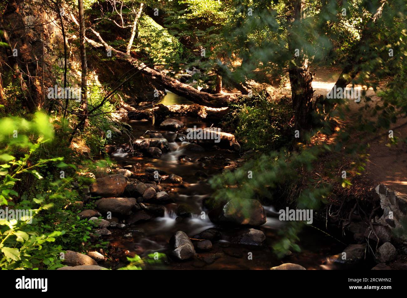 Lunga esposizione foto del fiume nella foresta del villaggio di Kakopetria sulla catena montuosa di Troodos, Cipro. Foto Stock