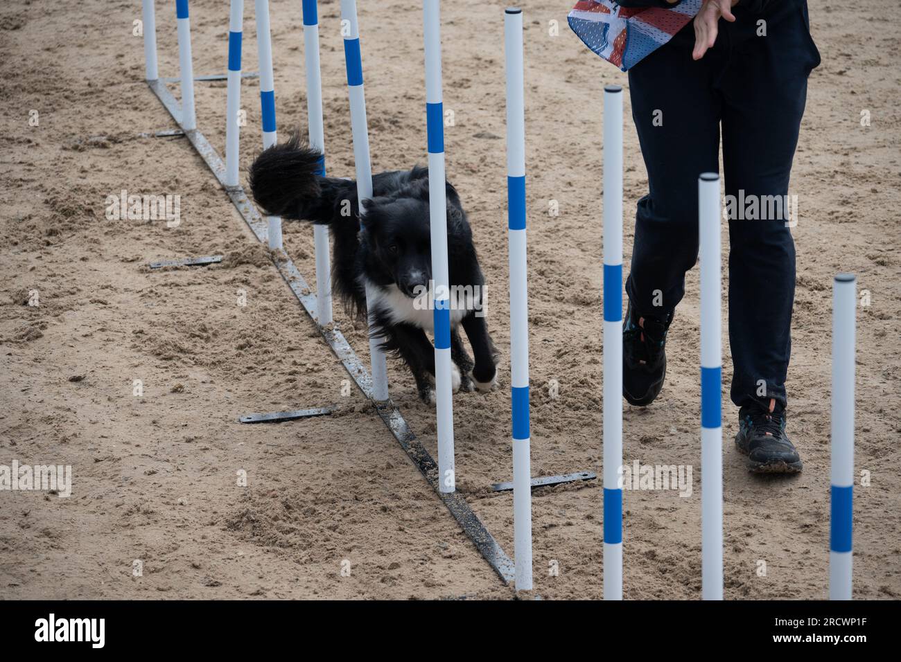 I Campionati del mondo Junior Open Agility 2023. Foto Stock