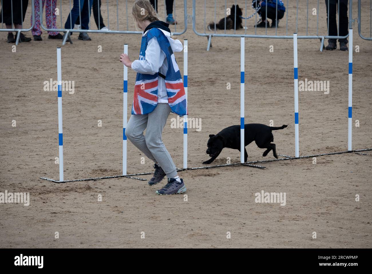 I Campionati del mondo Junior Open Agility 2023. Foto Stock