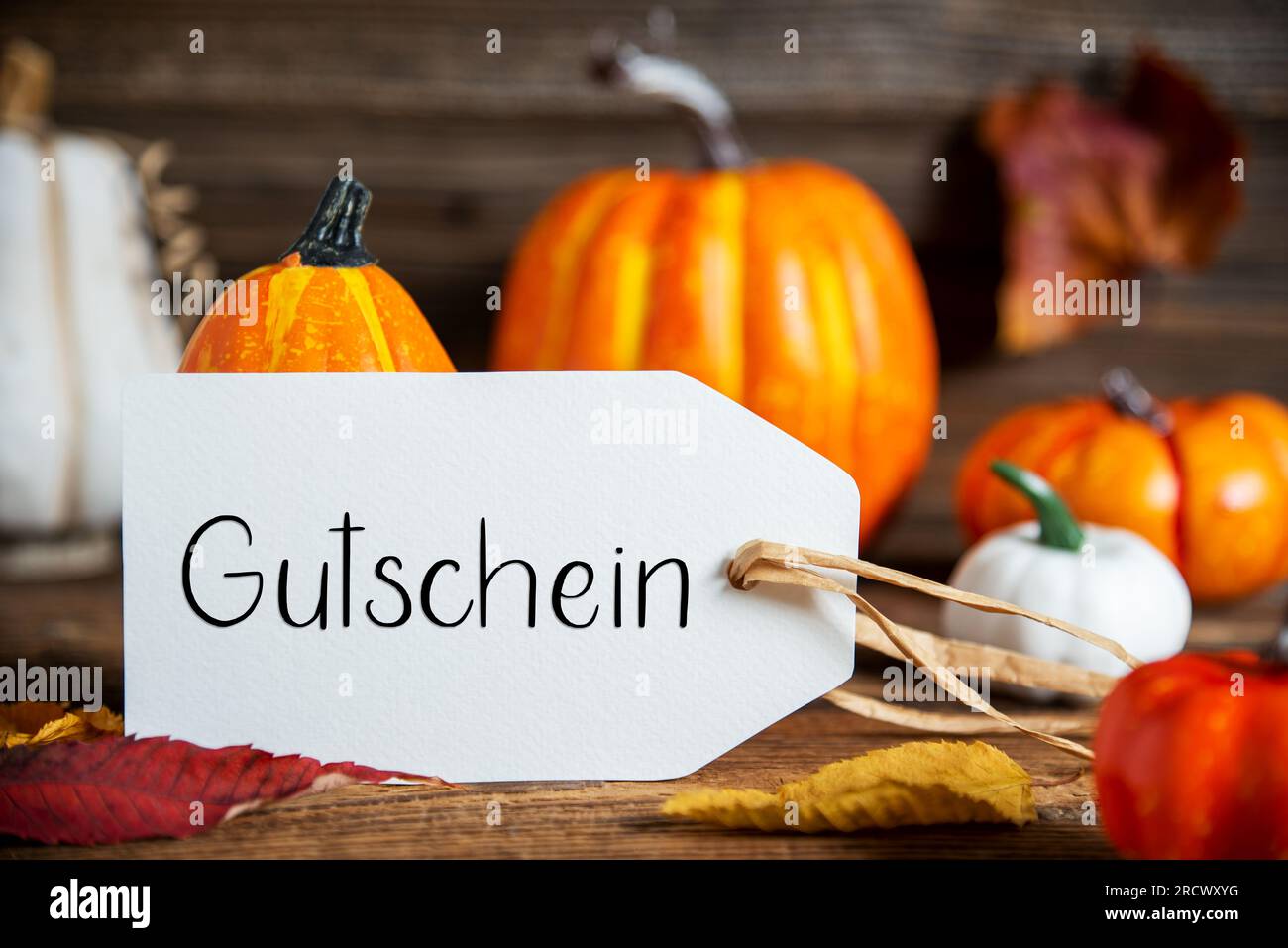Decorazioni autunnali con zucche arancioni, decorazioni autunnali rustiche con etichetta con testo tedesco Gutschein, che significa voucher in inglese Foto Stock