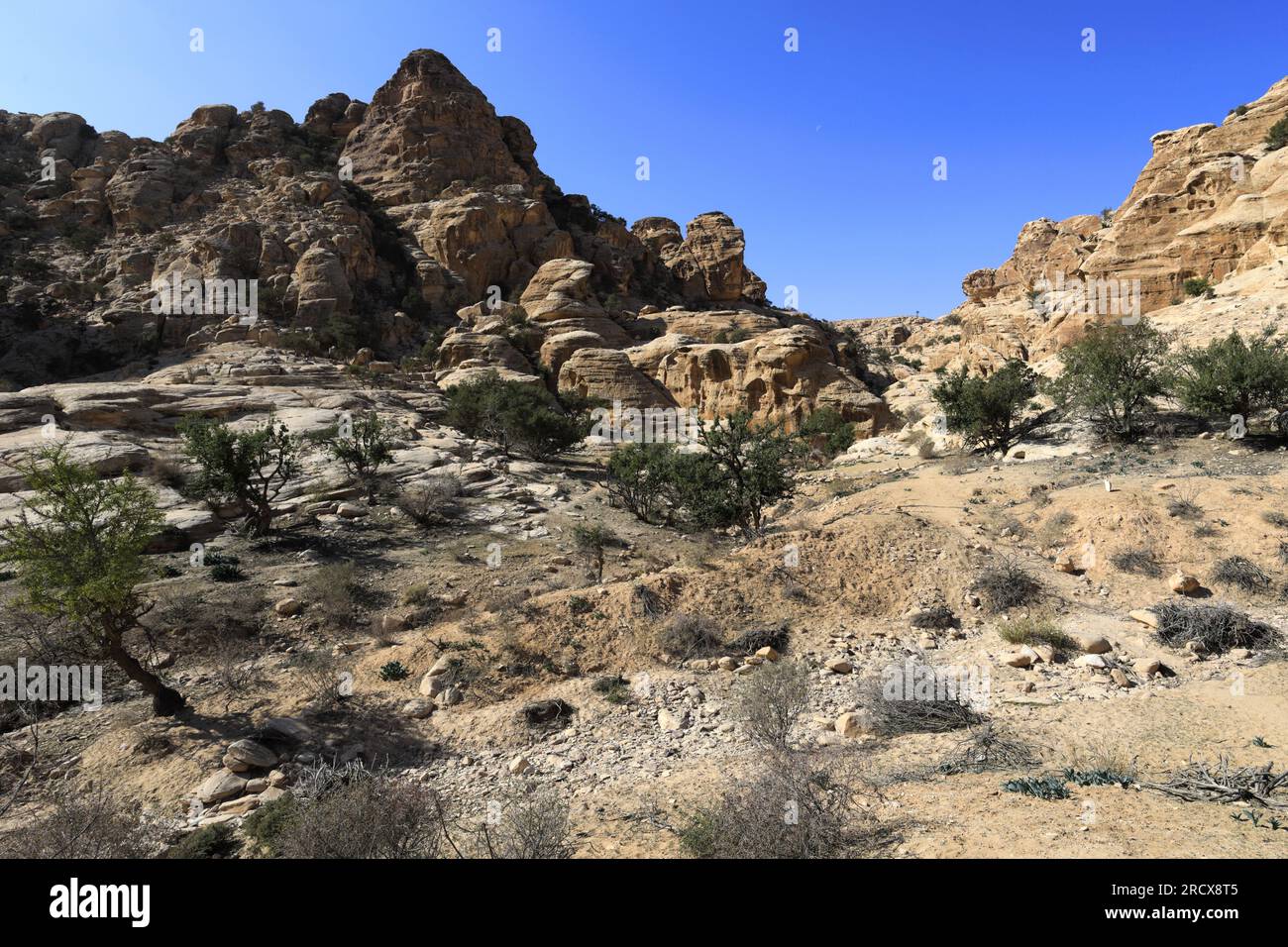 Ammira il paesaggio intorno a Wadi al-Aghlat prima di Little Petra, area di al-Sharat della Giordania, Medio Oriente Foto Stock