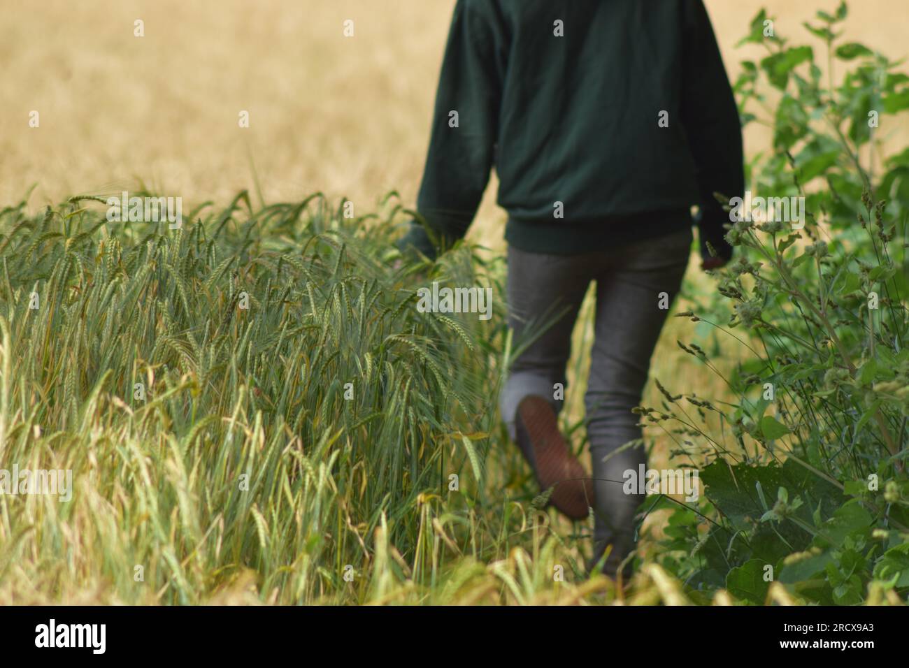 Immagini di persone con cappuccio che camminano attraverso i campi e sotto uno stretto ponte. Foto Stock