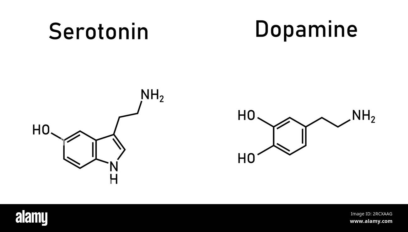 Dopamina e serotonina struttura molecolare. Illustrazione vettoriale scientifica isolata su sfondo bianco. Illustrazione Vettoriale