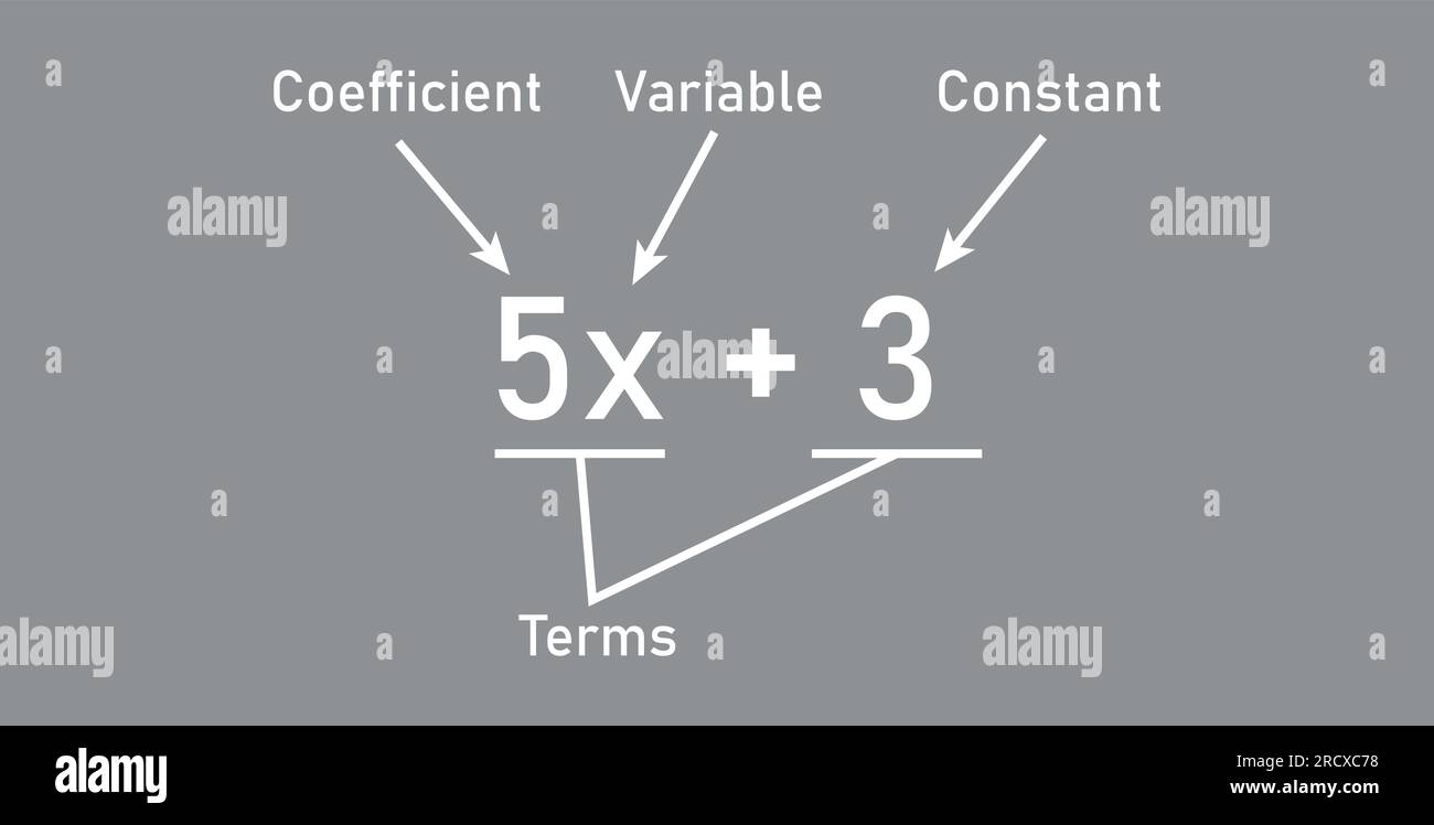 Espressioni algebriche parti in matematica. Coefficiente, variabile, costante e termini. Parti di un'espressione. Risorse matematiche per gli insegnanti. Illustrazione Vettoriale