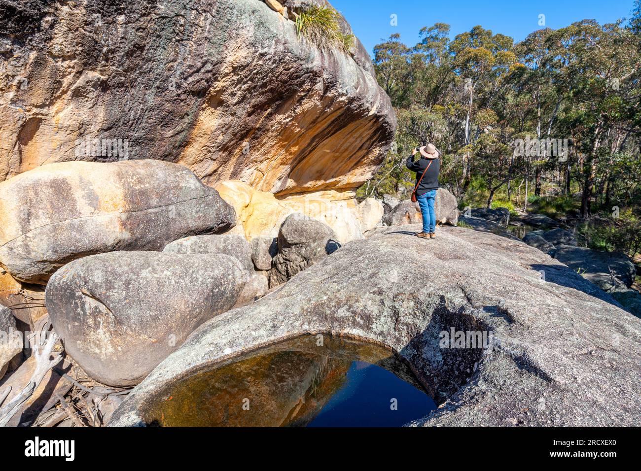 Formazioni rocciose di granito e massi, Underground Creek, Girraween National Park, Queensland sud-orientale, Australia Foto Stock